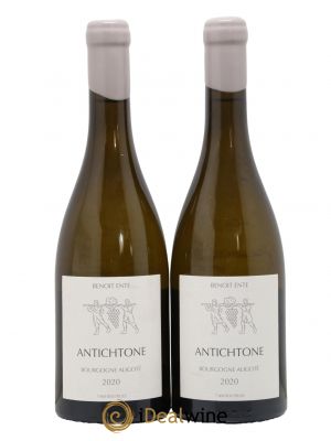 Bourgogne Aligoté Antichtone Benoit Ente  2020 - Lot of 2 Bottles