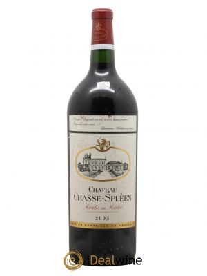 Château Chasse Spleen  2005 - Lot of 1 Magnum