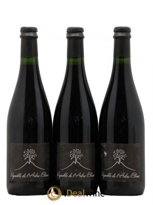 Vin de France Les Orgues Vignoble de l'Arbre Blanc 2018 - Lot de 3 Bottles