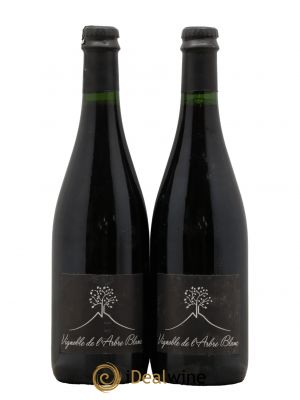Vin de France Les Orgues Vignoble de l'Arbre Blanc 2018 - Lot de 2 Bottles