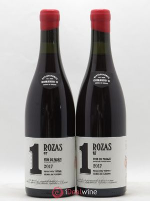 Vinos de Madrid Comando G DO Rozas 1er Fernando García & Dani Landi  2017 - Lot of 2 Bottles
