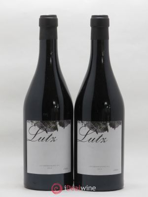 Autriche Lutz Lutzmannsburg Vieilles vignes Schiefer 2013 - Lot of 2 Bottles
