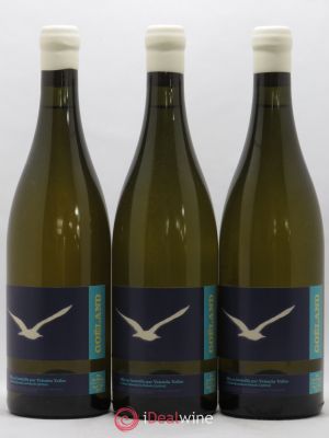 Vin de France Goeland Valentin Vallés  2017 - Lot of 3 Bottles