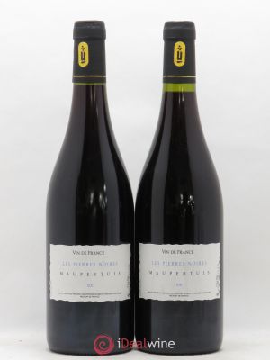 Vin de France Auvergne Les Pierres noires Maupertuis 2019 - Lot de 2 Bouteilles