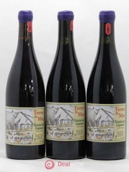 Vin de France Terres et Mer Terrasses de Cosprons 2015 - Lot of 3 Bottles
