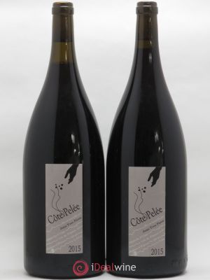 IGP Vin des Allobroges Côte Pelée Jean-Yves Péron  2015 - Lot of 2 Magnums