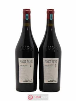 Arbois Sous la Tour Pinot Noir Stéphane Tissot  2018 - Lot of 2 Bottles