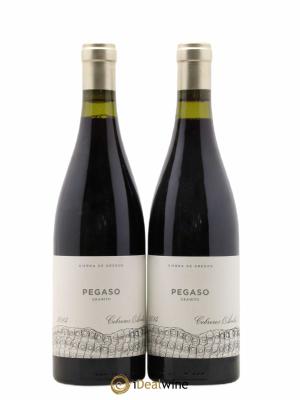 Castilla y Leon Pegaso Granito  2014 - Lot de 2 Bouteilles