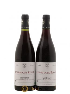 Bourgogne Les Crays Les Vignes du Maynes  2018 - Lot of 2 Bottles