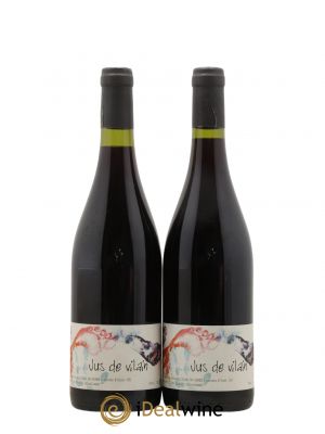 Vin de France Jus de Vilain François Dhumes 2020 - Lot of 2 Bottles