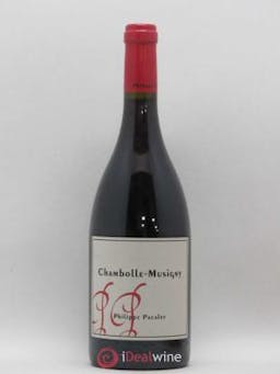 Chambolle-Musigny Philippe Pacalet  2013 - Lot de 1 Bouteille