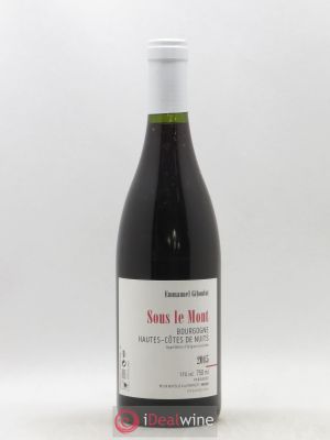 Hautes-Côtes de Nuits Sous le Mont Emmanuel Giboulot 2015 - Lot of 1 Bottle