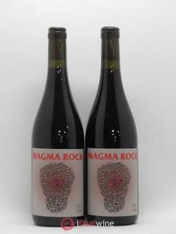 Vin de France No Control Magma Rock Vincent Marie 2015 - Lot of 2 Bottles