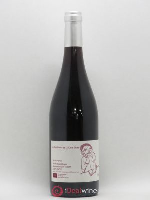 Vin de France Petit Rouge de la Côte Ouest Tricot 2017 - Lot of 1 Bottle