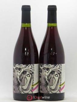 Vin de France Nyctalopie Daniel Sage 2018 - Lot of 2 Bottles