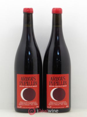 Arbois Pupillin Ploussard Adeline Houillon & Renaud Bruyère  2015 - Lot of 2 Bottles