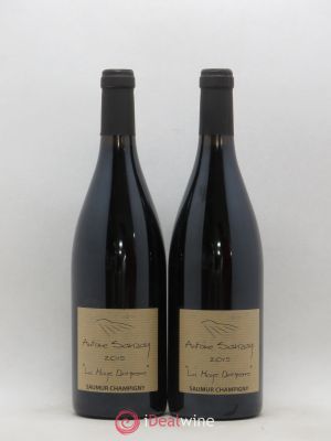Saumur-Champigny La Haye Dampierre Antoine Sanzay  2015 - Lot of 2 Bottles