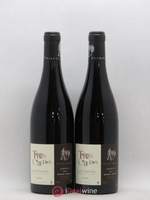 Saumur-Champigny Terres Chaudes Roches Neuves (Domaine des)  2015 - Lot of 2 Bottles