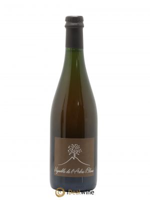 Vin de France Les Fesses Vignoble de l'Arbre Blanc  2017 - Lot de 1 Bouteille