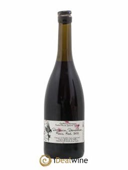Côte de Beaune-Villages Hautes Côtes de Beaune Rosie Red Dandelion  2022 - Lot of 1 Bottle