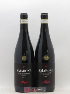 Amarone della Valpolicella DOC Classico Allegrini 2014 - Lot of 2 Bottles
