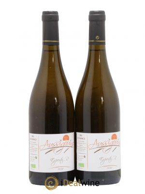 Vin de France Les Aussigouins Experto R Dominique Dufour 2020 - Lot de 2 Bottiglie