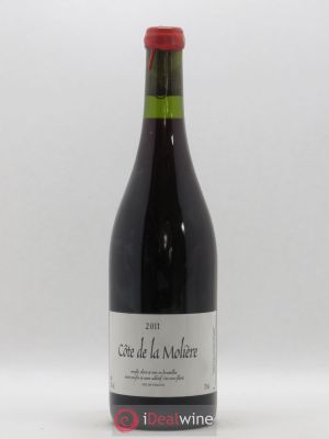 Vin de France Domaine Cote de la Moliere Perraud 2011 - Lot de 1 Bouteille