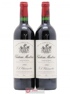 Château Montrose 2ème Grand Cru Classé  1995 - Lot of 2 Bottles