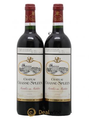 Château Chasse Spleen  2002 - Posten von 2 Flaschen