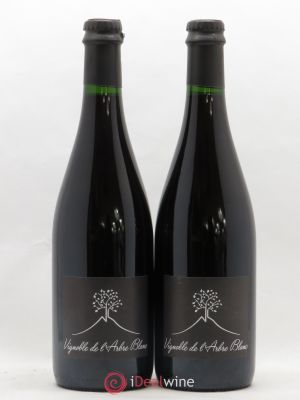 Vin de France Les Orgues Vignoble de l'Arbre Blanc 2018 - Lot de 2 Bouteilles
