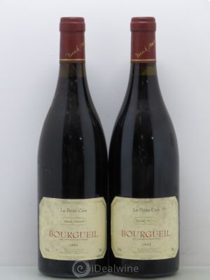 Bourgueil Petite cave Yannick Amirault (Domaine)  1995 - Lot of 2 Bottles