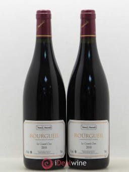 Bourgueil Grand Clos Yannick Amirault (Domaine)  2010 - Lot of 2 Bottles