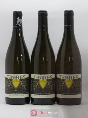 Saumur Terres Roches Neuves (Domaine des)  2016 - Lot of 3 Bottles