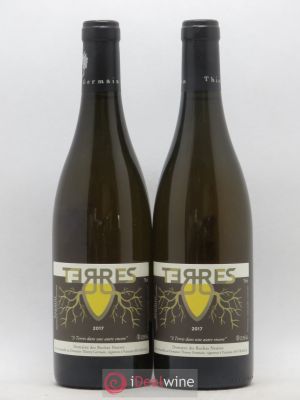 Saumur Terres Roches Neuves (Domaine des)  2017 - Lot of 2 Bottles
