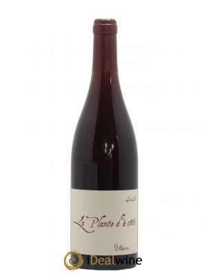 Vin de France La Plante d'à coté Binaume Bizot-Naudin  2021 - Lot de 1 Bouteille