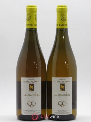 Coteaux du Layon Les Bruandières P. Baudoin 2015 - Lot of 2 Bottles