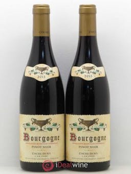 Bourgogne Coche Dury (Domaine)  2015 - Lot of 2 Bottles