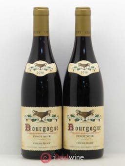 Bourgogne Coche Dury (Domaine)  2016 - Lot of 2 Bottles