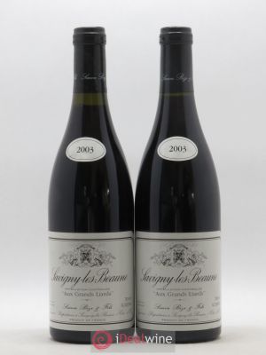 Savigny-lès-Beaune Aux Grands Liards Simon Bize & Fils  2003 - Lot of 2 Bottles