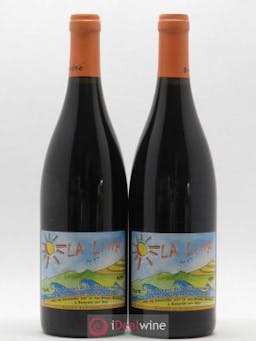 Languedoc IGP Côte Vermeille Bruno Duchene La Luna 2017 - Lot of 2 Bottles