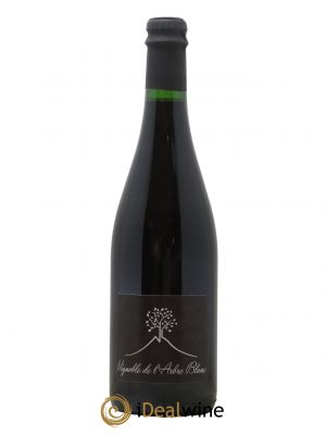 Vin de France Les Orgues Vignoble de l'Arbre Blanc 2020 - Lot de 1 Bouteille