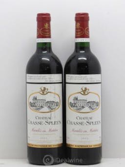 Château Chasse Spleen  2002 - Lot of 2 Bottles