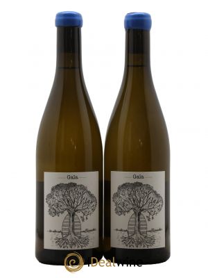 Muscadet-Sèvre-et-Maine Gaia Jérôme Bretaudeau - Domaine de Bellevue 2021 - Lot de 2 Bottles