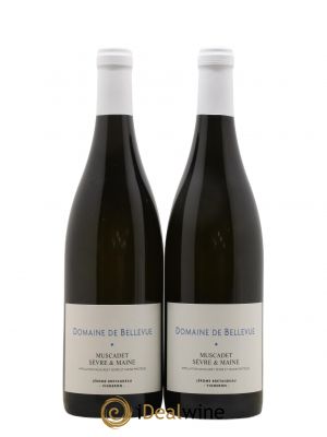 Muscadet-Sèvre-et-Maine Jérôme Bretaudeau - Domaine de Bellevue  2020 - Lot of 2 Bottles