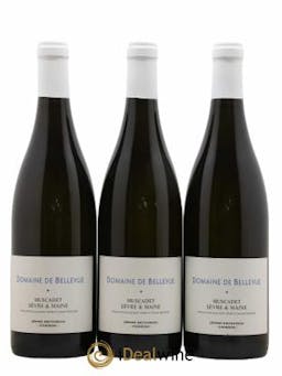 Muscadet-Sèvre-et-Maine Jérôme Bretaudeau - Domaine de Bellevue  2018 - Lot of 3 Bottles