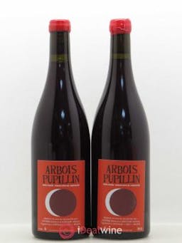 Arbois Pupillin Ploussard Adeline Houillon & Renaud Bruyère  2016 - Lot of 2 Bottles