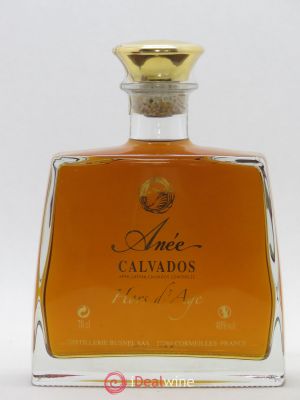 Calvados Busnel Anée Hors d'Age  - Lot of 1 Bottle