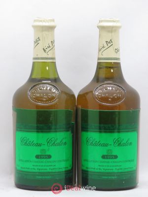 Château-Chalon Desiré Petit 1995 - Lot of 2 Bottles