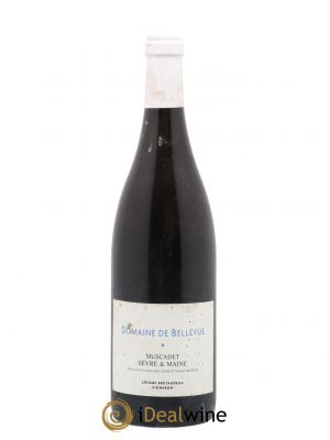 Muscadet-Sèvre-et-Maine Jérôme Bretaudeau - Domaine de Bellevue  2019 - Lot of 1 Bottle