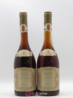 Tokaji Aszu 5 Puttonyos Megyer 50cl 1983 - Lot of 2 Bottles